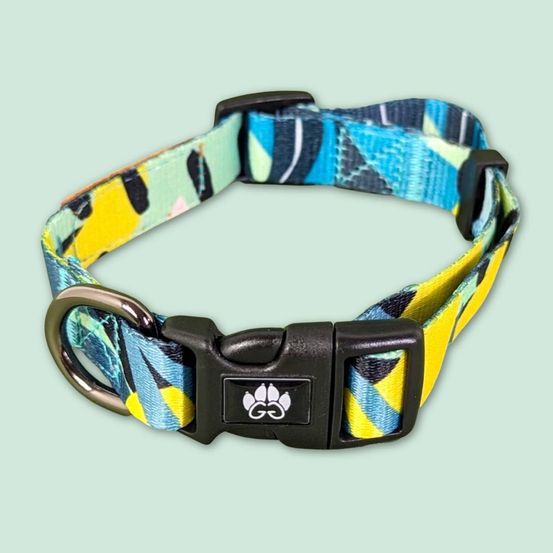Collier pour chien récif - l