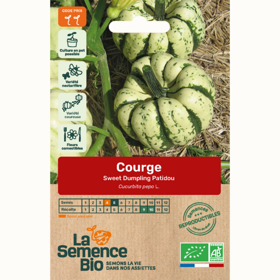 Courge sweet dumpling patidou - graines bio