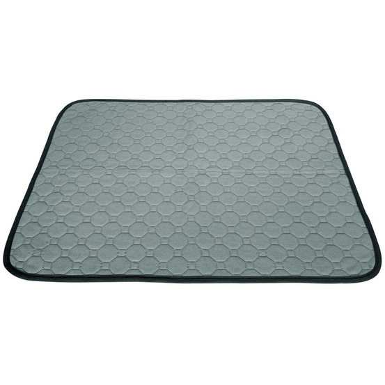 Tapis de propreté absorbant et lavable l - 60 x 90 cm