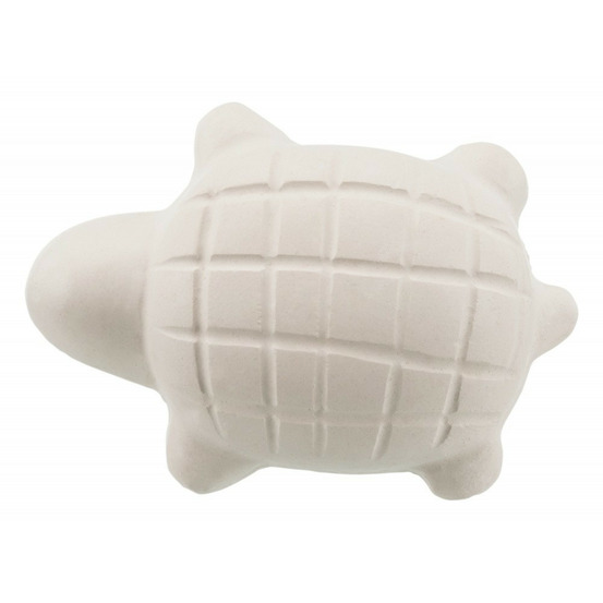 Conditionneur d'eau pour tortues.