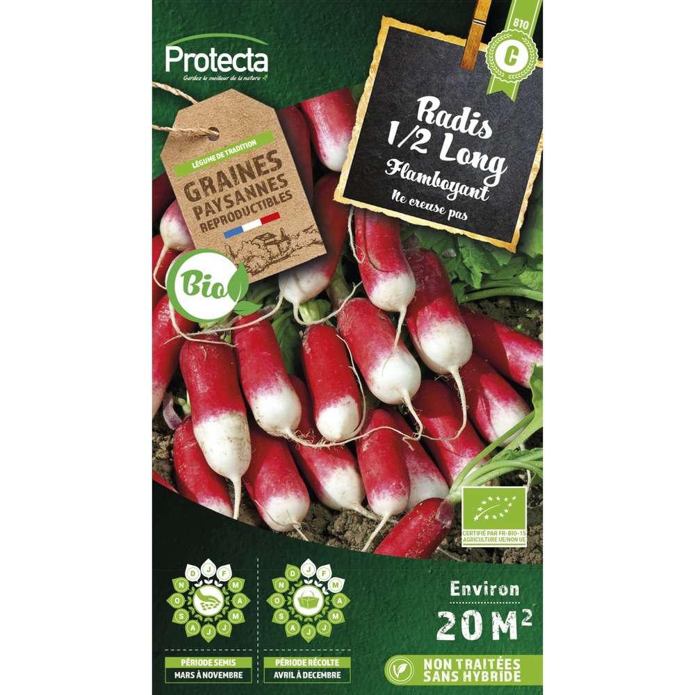 Graines paysannes - radis 1/2 long flamboyant bio