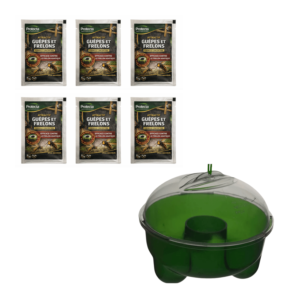 Lot de 6 stick attractif guêpes et frelons 50 ml + piège