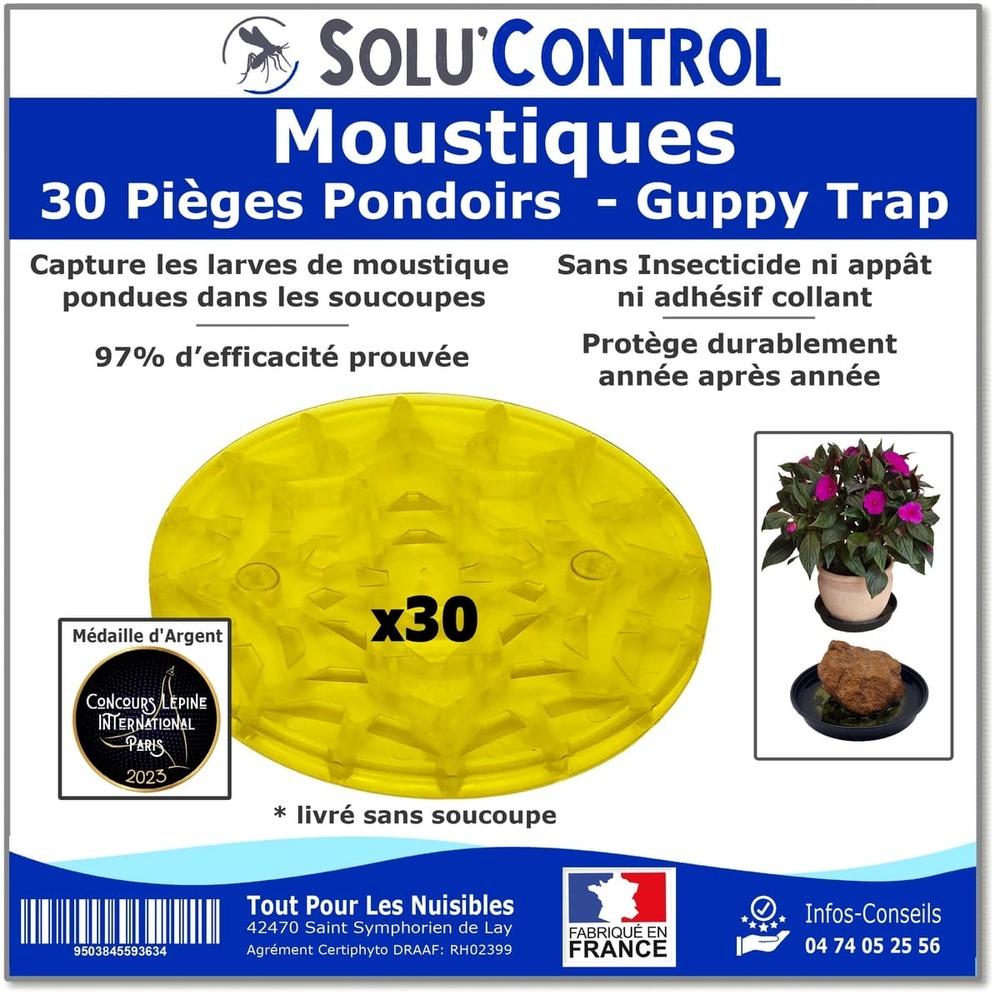 30 guppy trap, piège pondoir à moustiques, sans produit, sans adhésif, médaille d'argent concours lépine 2023, livré sans coupelle