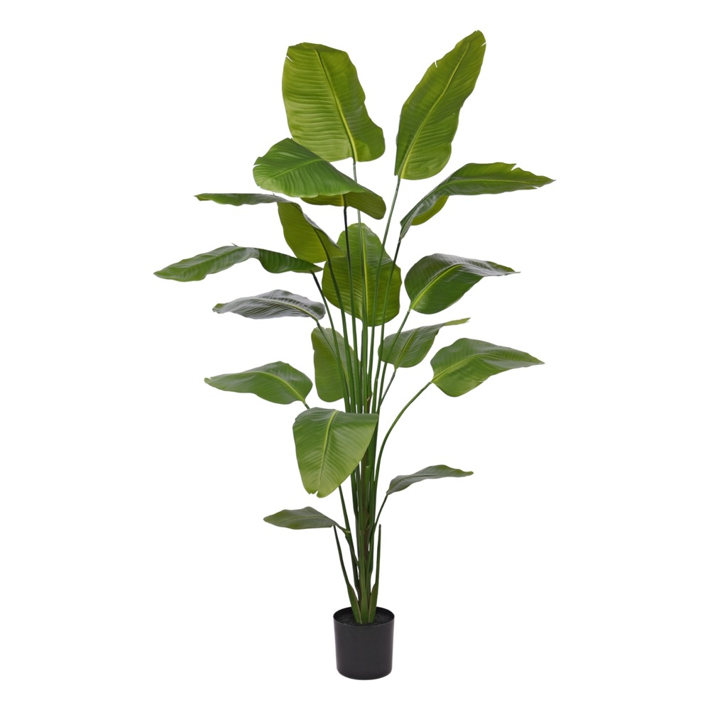Plante artificielle strelitzia nicolai 210cm