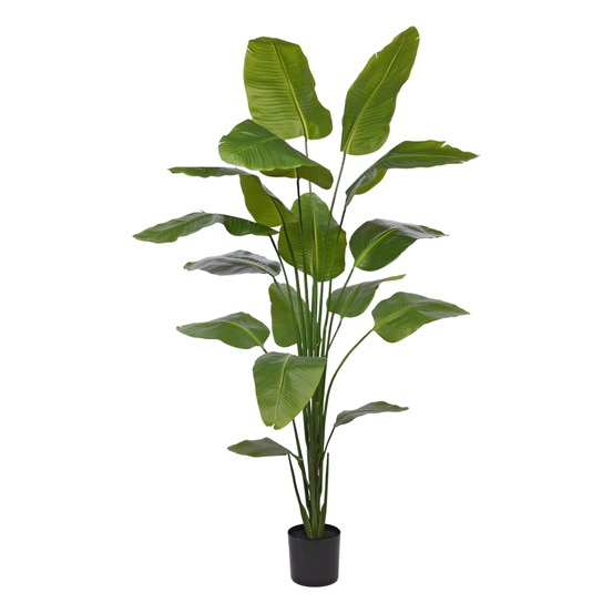 Plante artificielle strelitzia nicolai 210cm