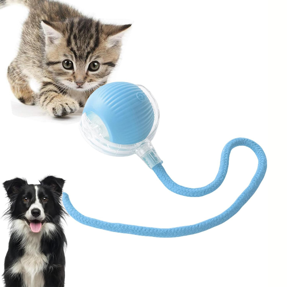 Balle interactive électrique pour chiens et chats