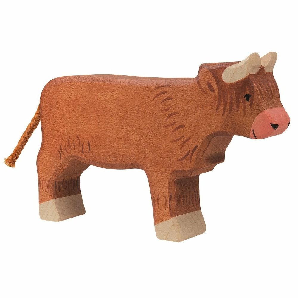 Vache Higland cattle