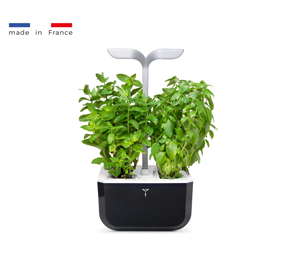 Potager d'intérieur autonome Véritable Exky SMART Soft Black - livré avec 2 lingots