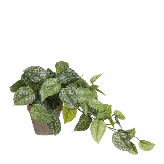 Mica decorations plante artificielle scindapsus - h44 cm - vert