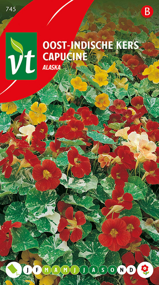 Capucine alaska - ca. 3.5 gr (livraison gratuite)