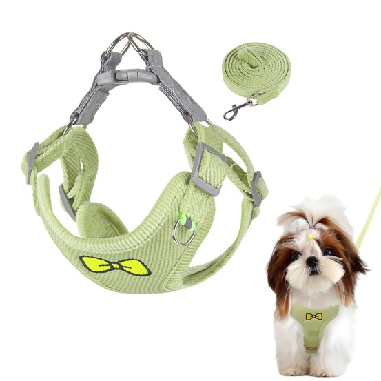 Ensemble de laisses pour chat et chienvert s