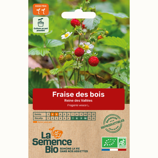 Fraise des bois reine des vallées - graines bio