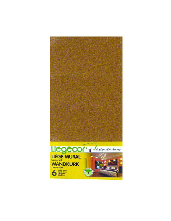 Liege tableau - lotx6 dalles 60x30 - lattiere landouzy