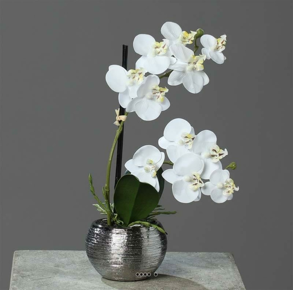 ORCHIDEE PHALAENOPSIS ART 1-(957690)