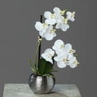 Orchidée phalaenopsis artificielle en pot céramique, h 30 cm crème - couleur: cr