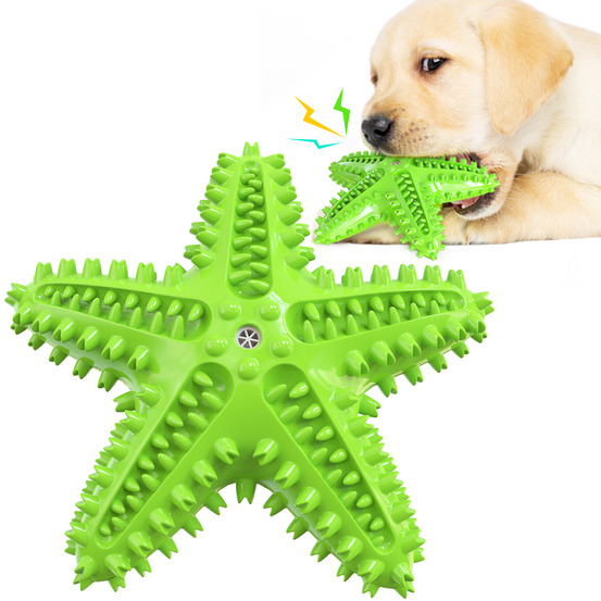 Jouets pour chien en forme d'étoile de mer
