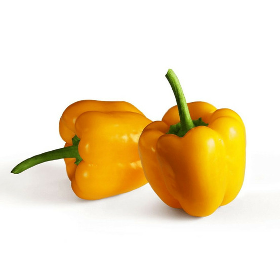 Plant de poivron valdor lot de 3 godets
