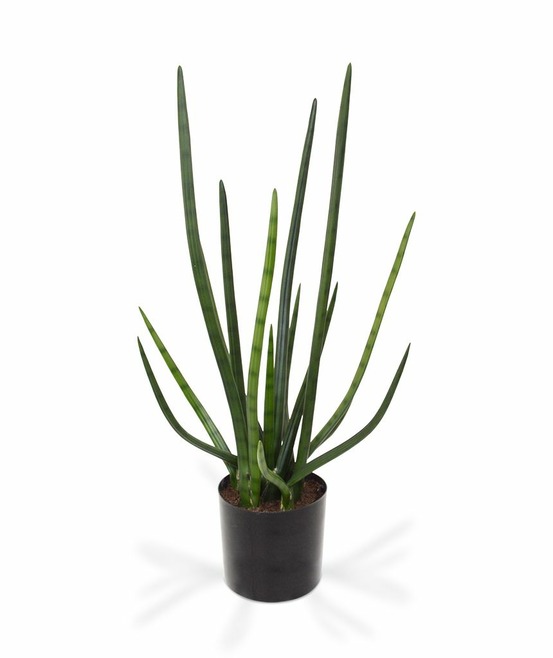 Sanseveria cylindrica artificiel 75 cm vert