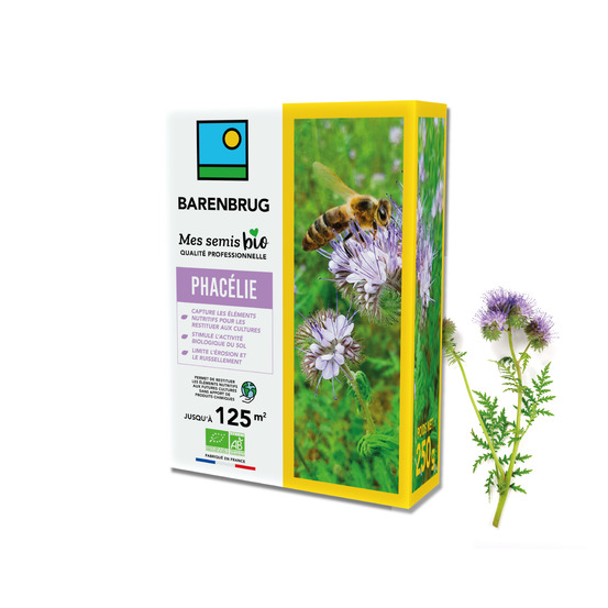 Barenbrug - phacélie - capture les éléments nutritifs et restitue aux futures cultures - stimule activité du sol - 250g