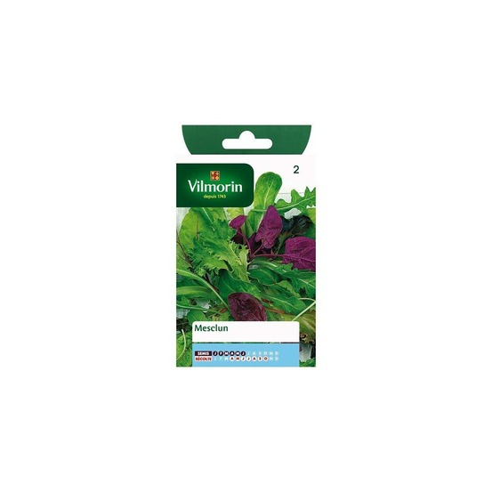 Sachet graines mesclun