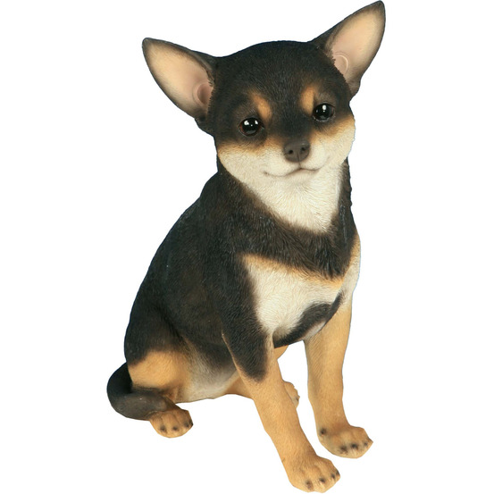 Chihuahua assis en résine 24 cm