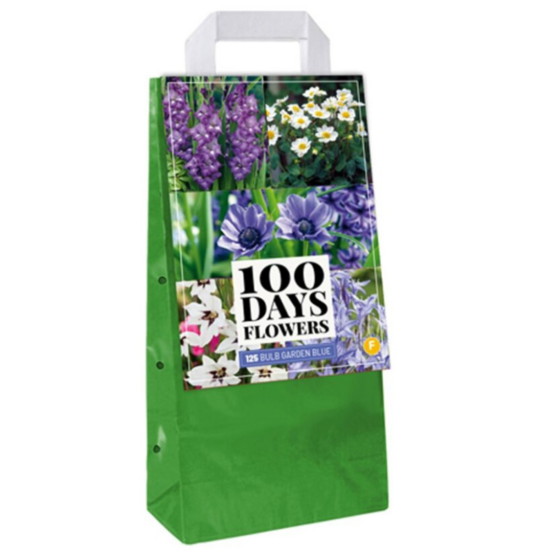 Mix 125 bulbes fleurs bleues à planter