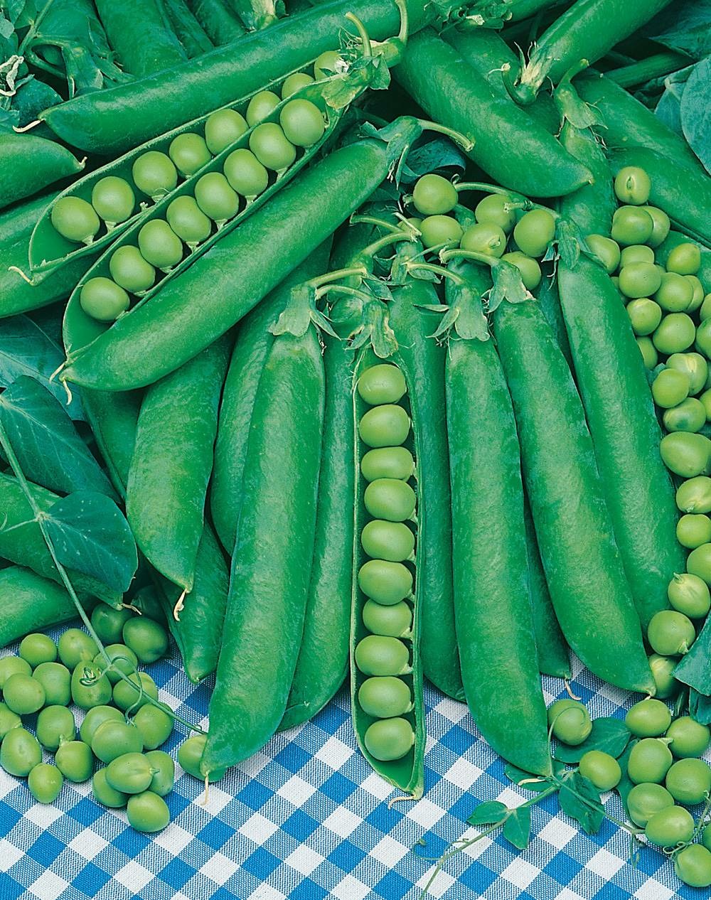 Pois telephone a rame - 150 g