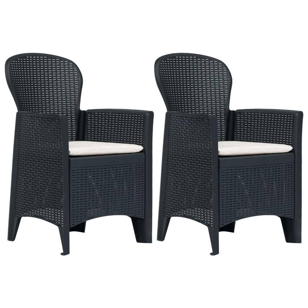 Chaises de jardin lot de 2 avec coussin anthracite plastique