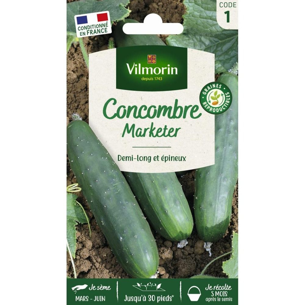 Sachet graines concombre marketer