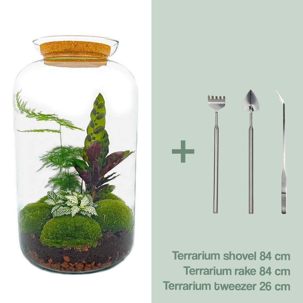 Kit terrarium diy - salen - rateau + pelle + pince