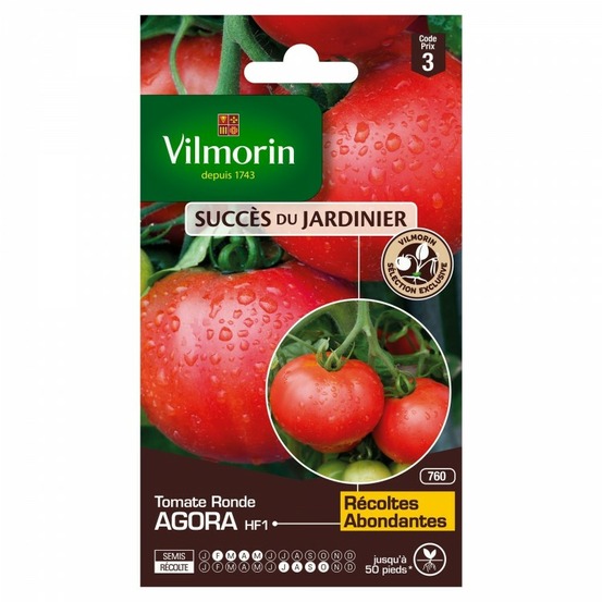 Sachet graines tomate agora hf1