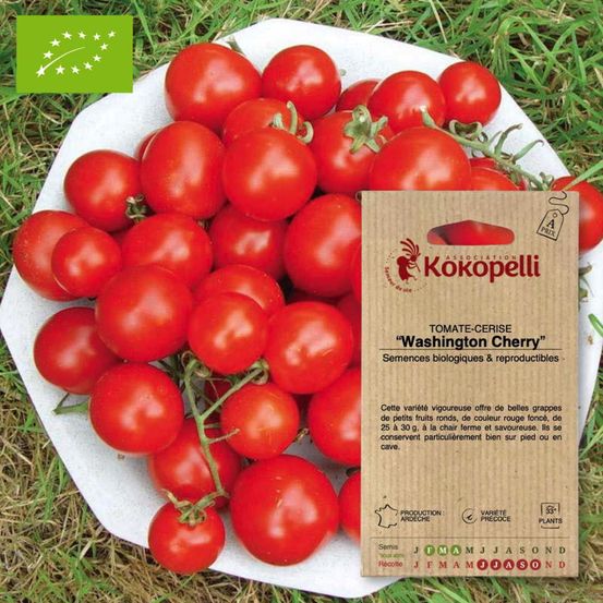 Tomate-cerise washington cherry- graines bio à semer