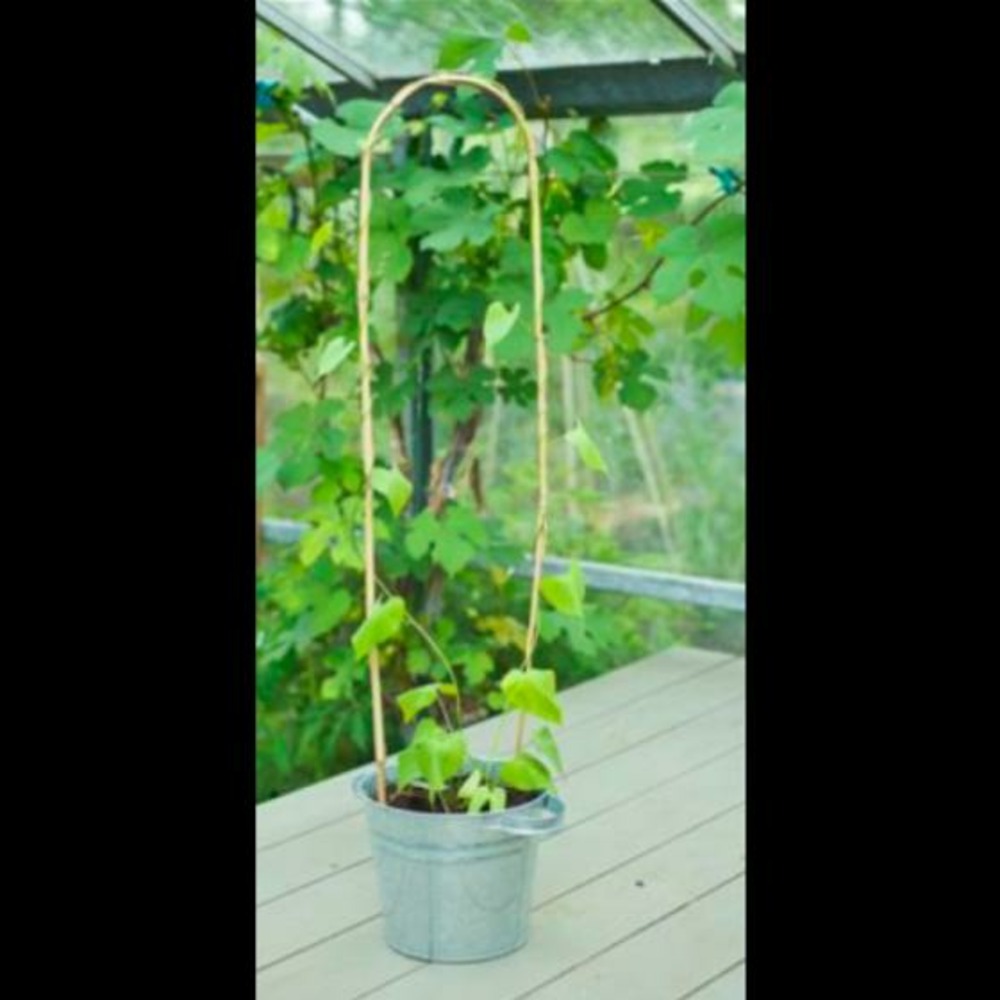 3 tuteurs arceaux en bambou - 90cm