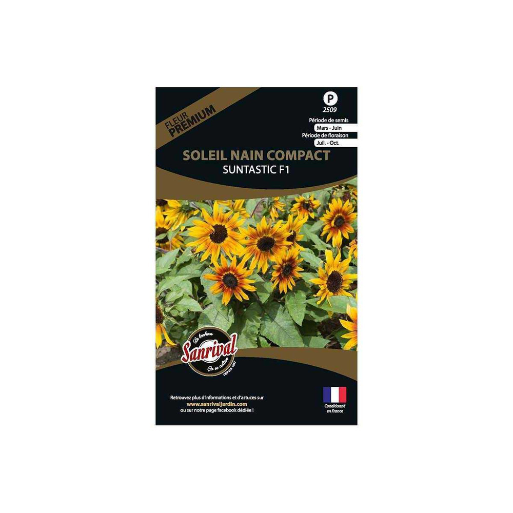 Graines de fleurs premium soleil nain compact suntastic