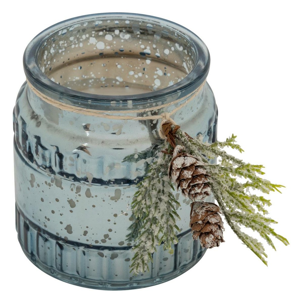 Bge pfm deco branche bleu 200g