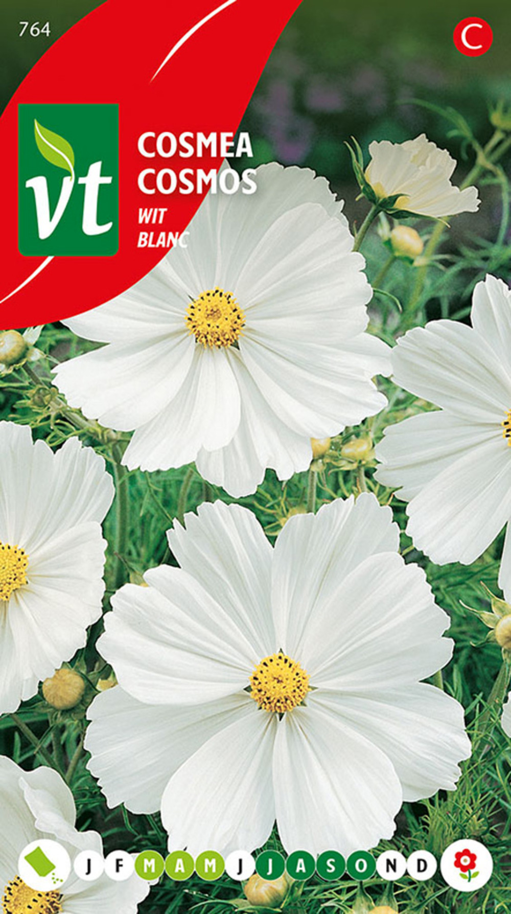Cosmea blanc - ca. 1 gr (livraison gratuite)