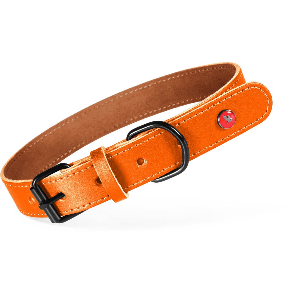 Collier pour chien en cuir véritable réglable 42-54 cm, sangle 25 mm - zolu