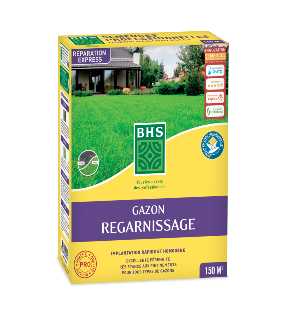 Gazon regarnissage 3kg /nc bhs - grp3
