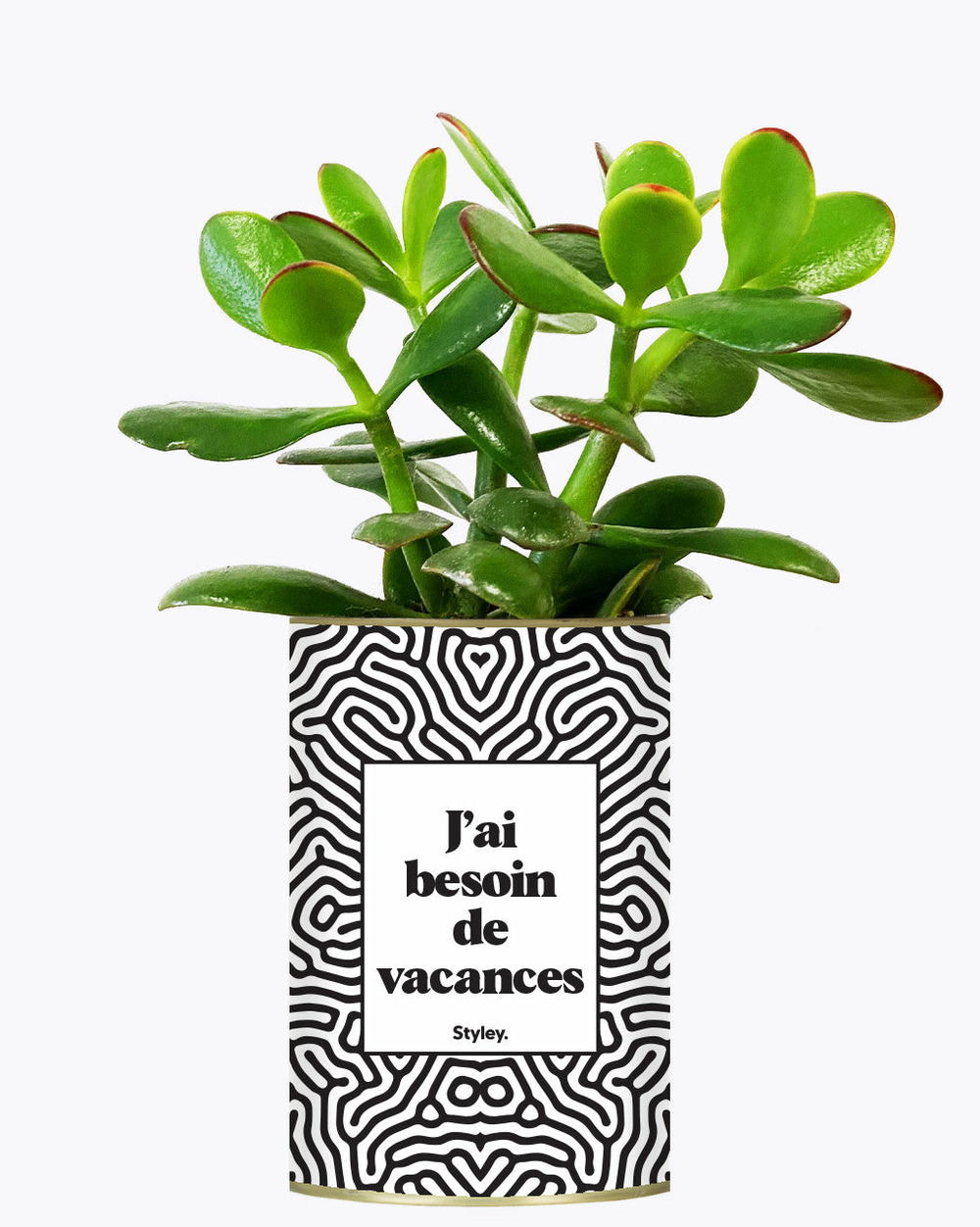 Plante à message - j'ai besoin de vacances - plante