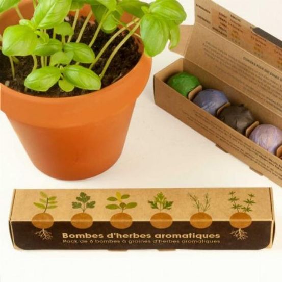 Pack de graines en bombe de 6 herbes aromatiques