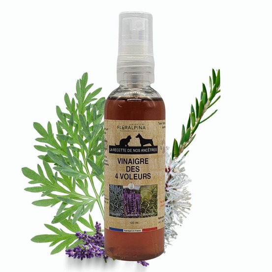 Vinaigre des 4 voleurs 100ml