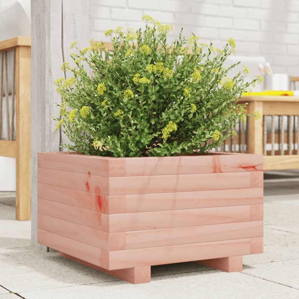 Jardinière carrée basse en bois de douglas bac à plantes robuste et élégant pour petit espace extérieur 40x40cm naturel