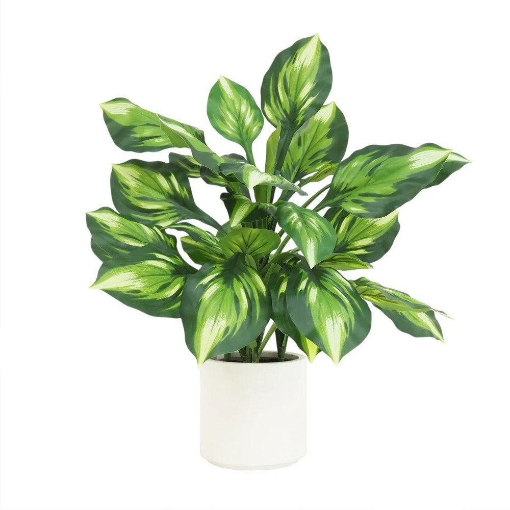Dieffenbachia camilla artificiel toucher naturel 65cm