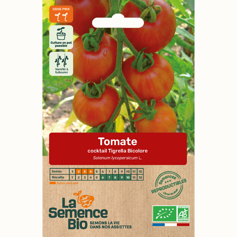 Tomate cocktail tigrella bicolore - graines bio