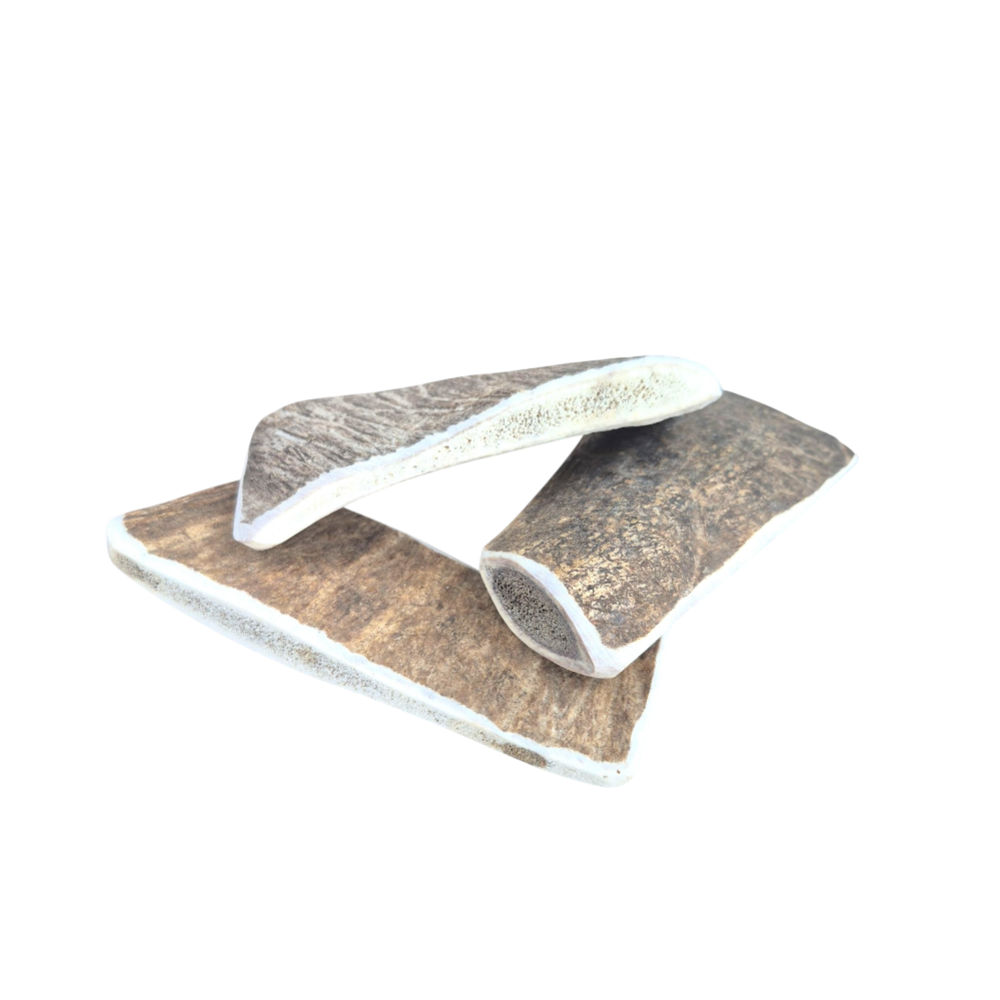 France croquettes bois de daim m 1x 51/100g