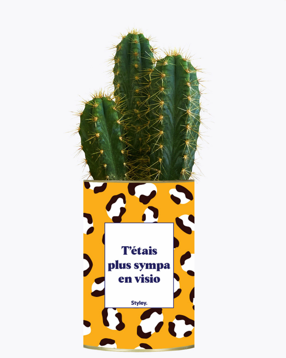 Idée cadeau - t'étais plus sympa en visio - cactus