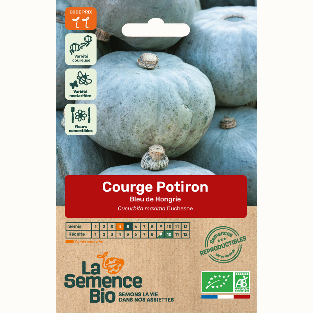 Courge potiron bleu de hongrie - graines bio