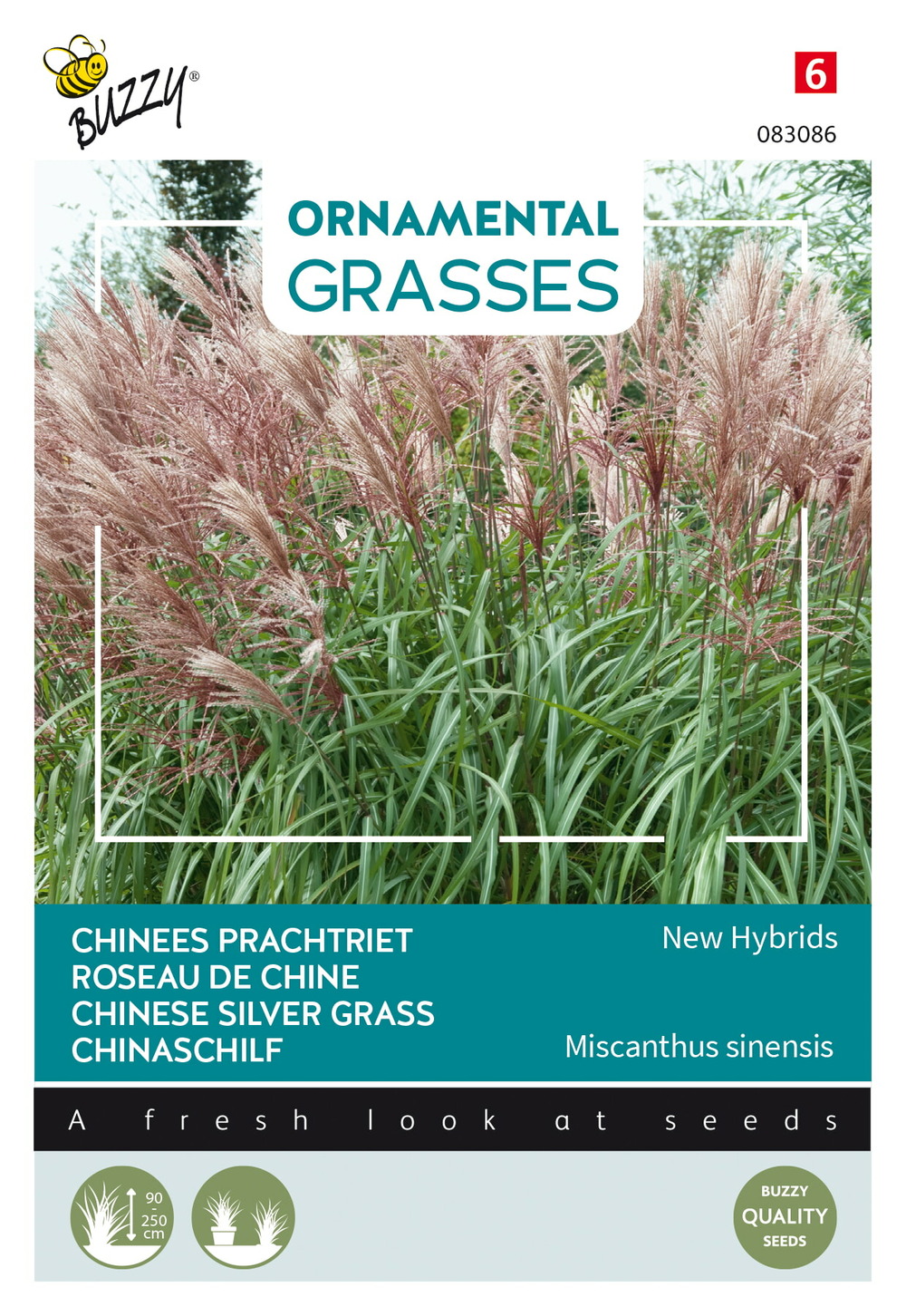 Buzzy ornamental grasses, roseau de chine 'new hybrids' - ca. 0,05 gr