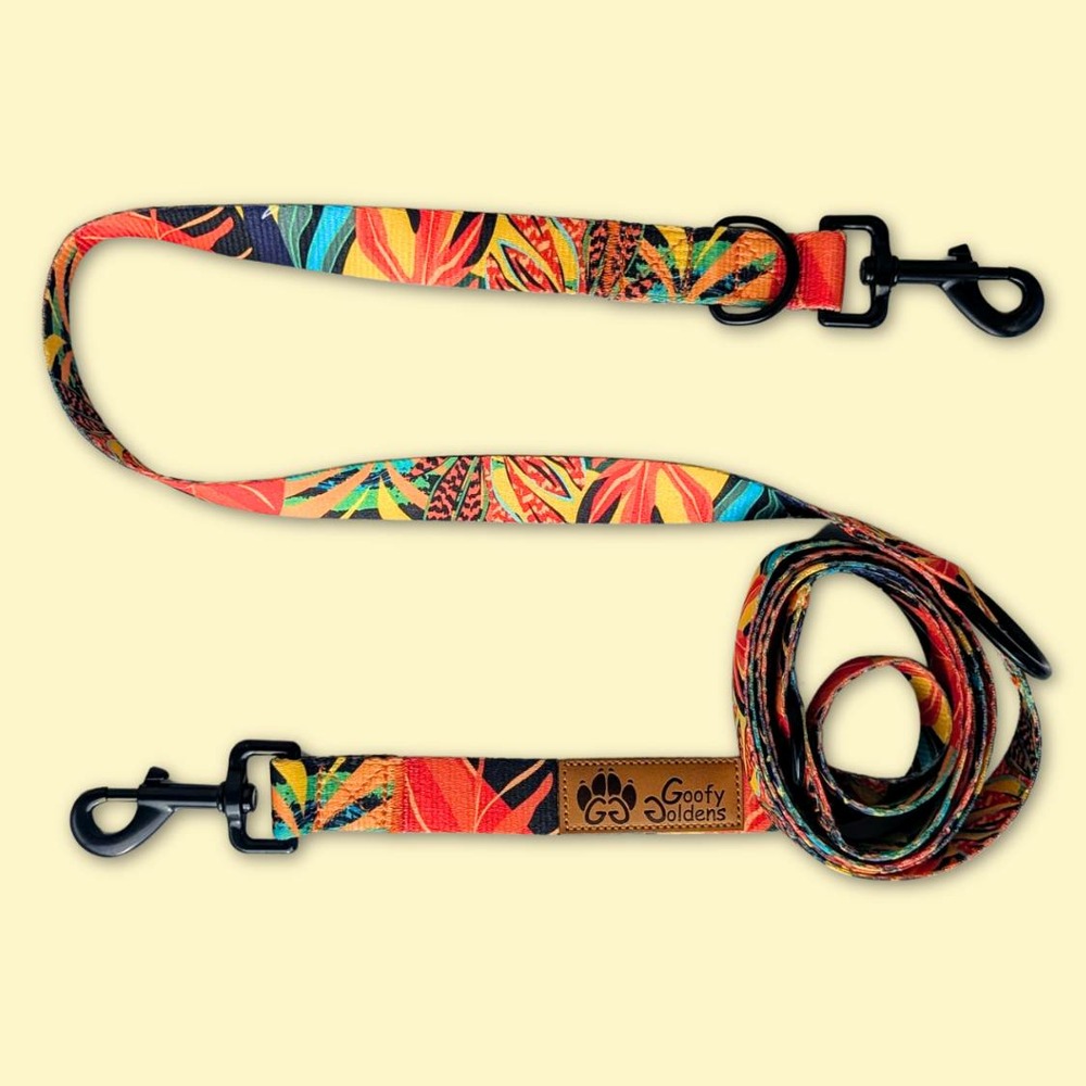 Laisse pour chien tropical multiposition