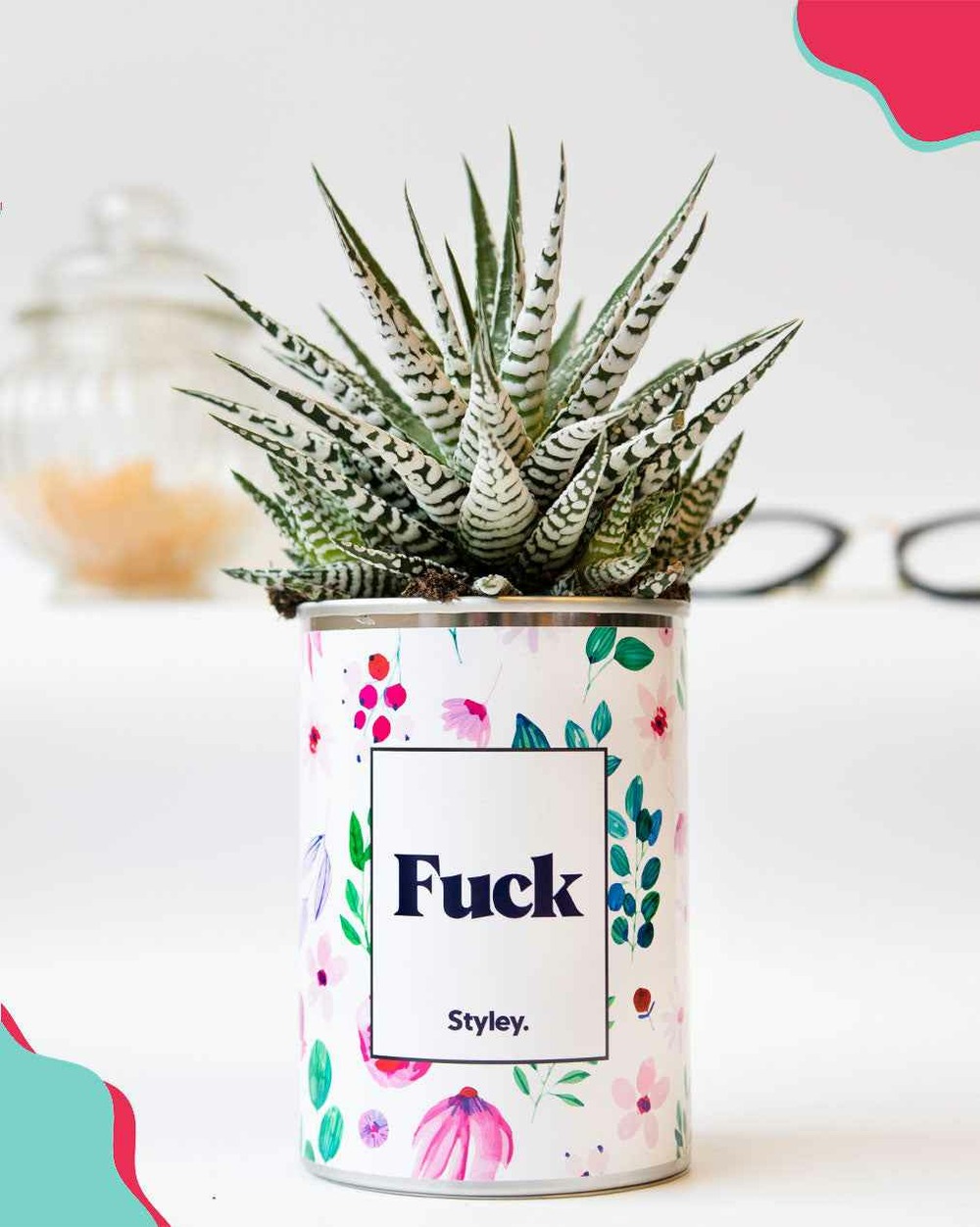 Plante personnalisée - fuck - cactus
